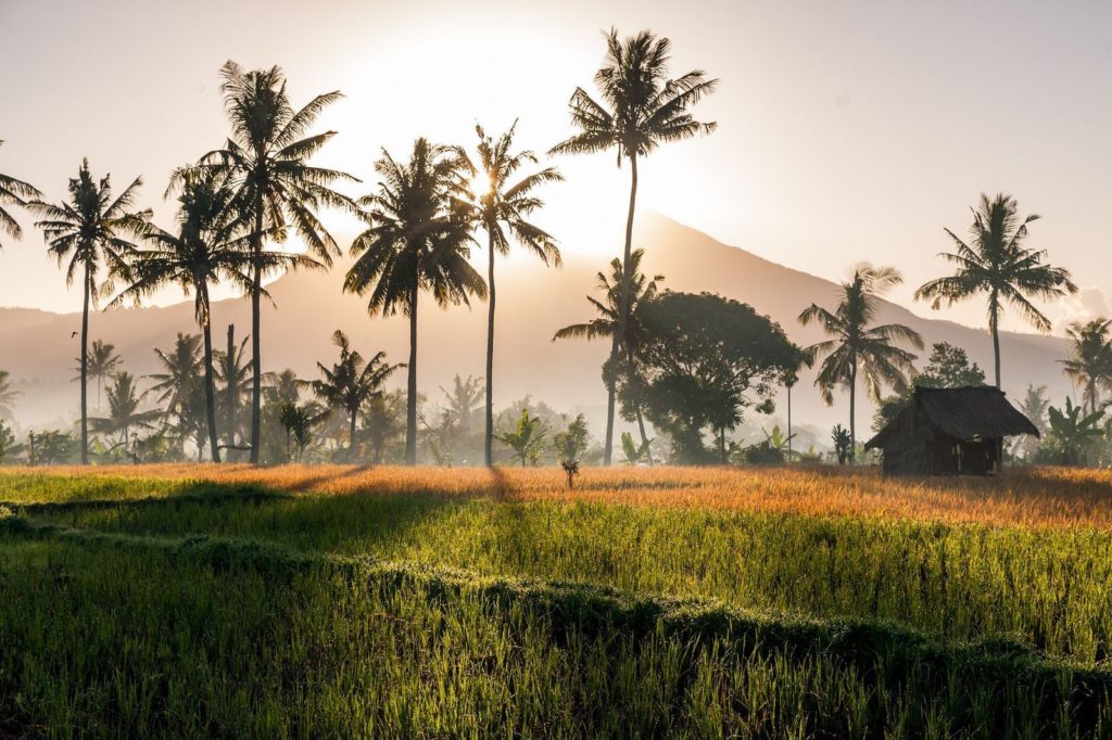 Климат и погода на Бали в зависимости от сезона