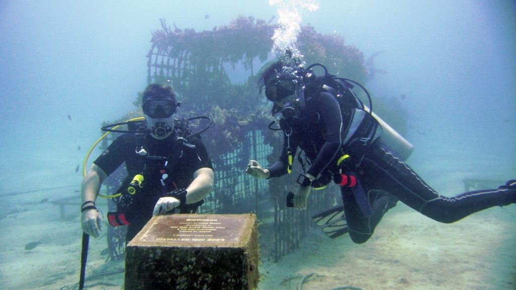 Чем заняться на пляже Пемутеран