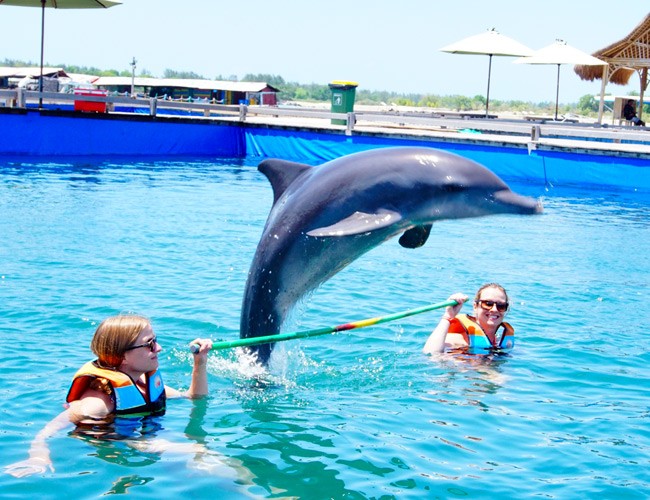 Посетите дельфинарий Dolphin Lodge Bali если едите на с Санур Бич